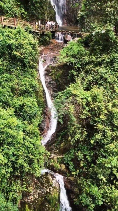 泰山队通过联赛准入，亚冠淘汰赛首战门票开售
